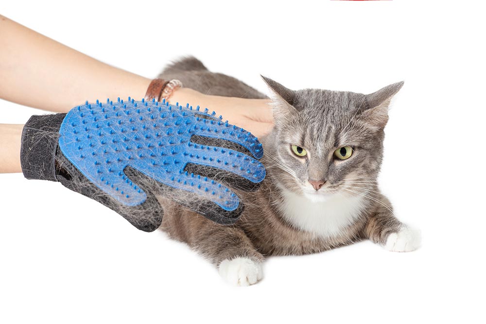 best grooming glove for cats
